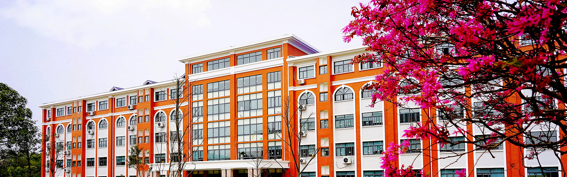 不朽情缘_首页官网入口